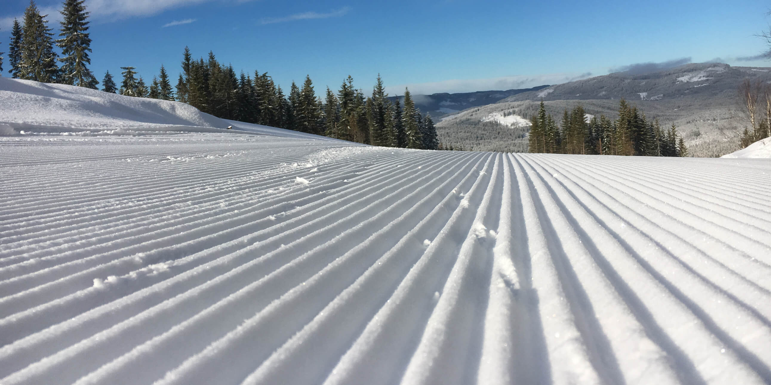 Sesongåpning 11.01.2025 – Trykk her for å sjekke ut videoen!